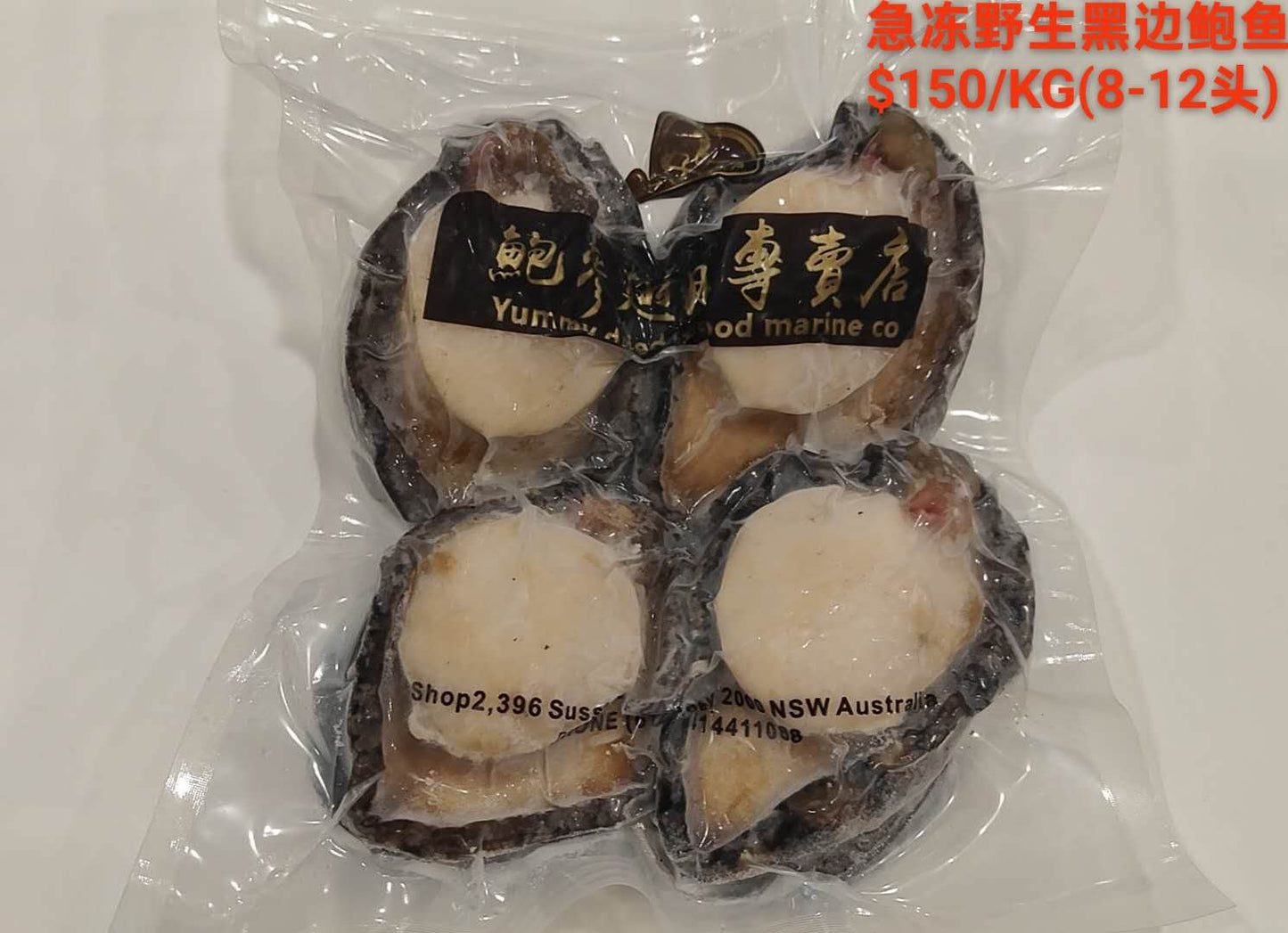 Frozen Wild Blacklip Abalone 8-12 Head - 急冻野生黑边鲍鱼