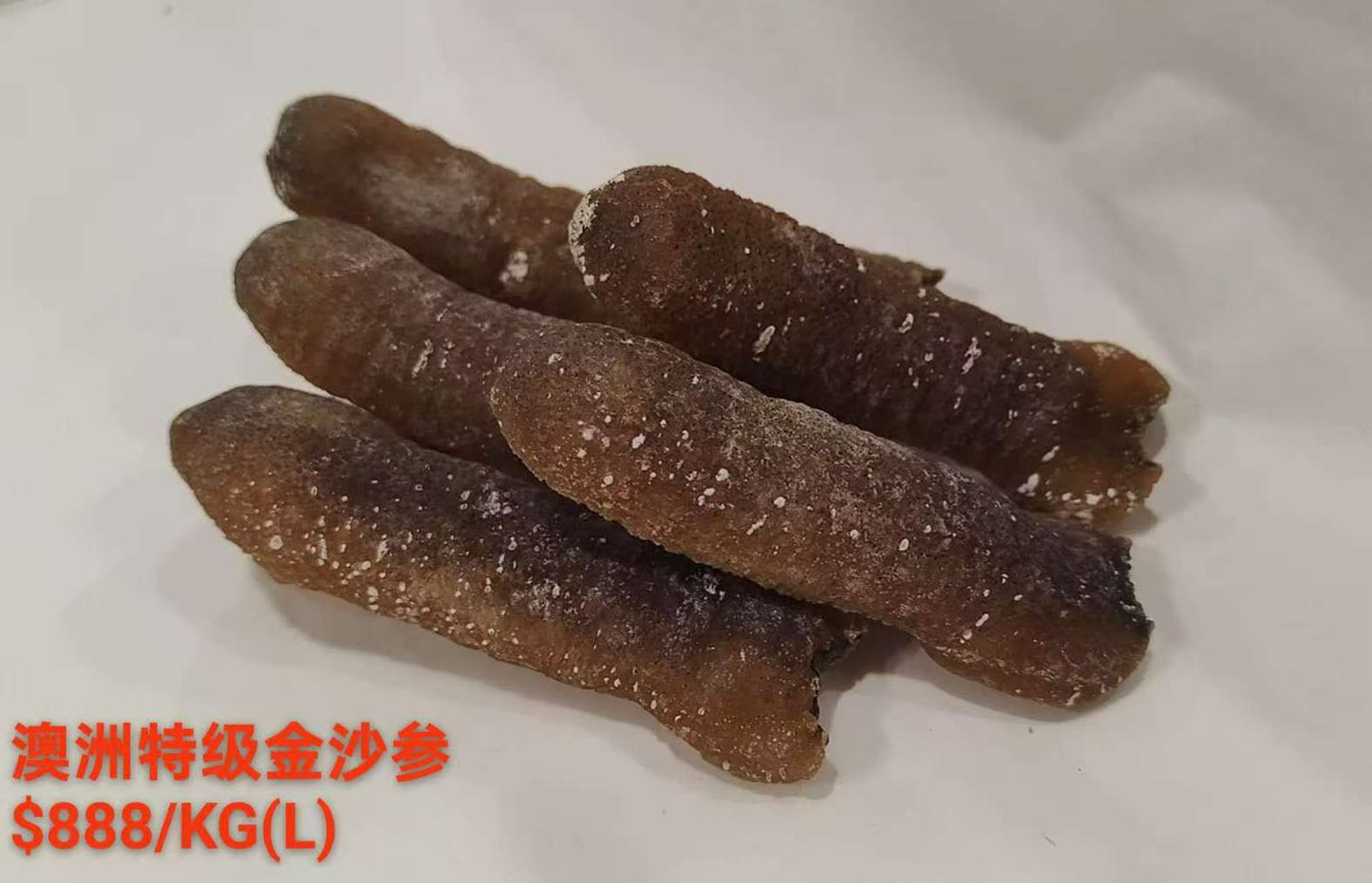 Large Sized Golden Sand Sea Cucumber - 特级澳洲金沙海参