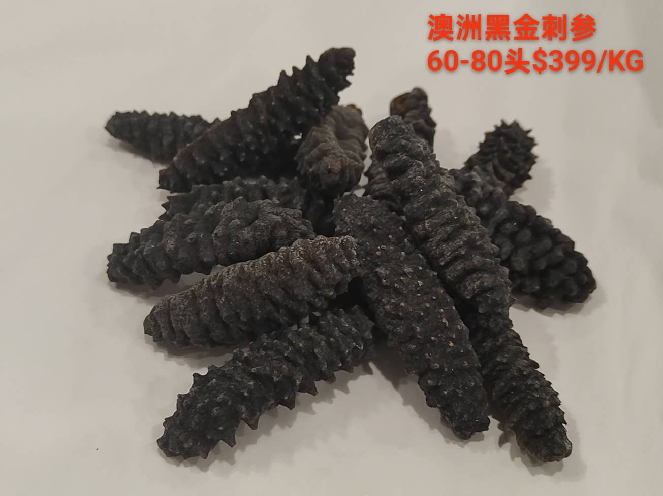 Australian Black Golden Sea Cucumber - 澳洲黑金刺参 (60-80 Head)