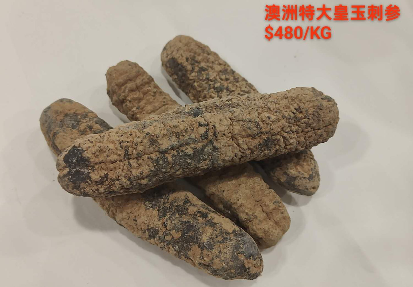 Australian Extra Large Golden Sandfish Sea Cucumber - 澳洲特大皇玉刺参