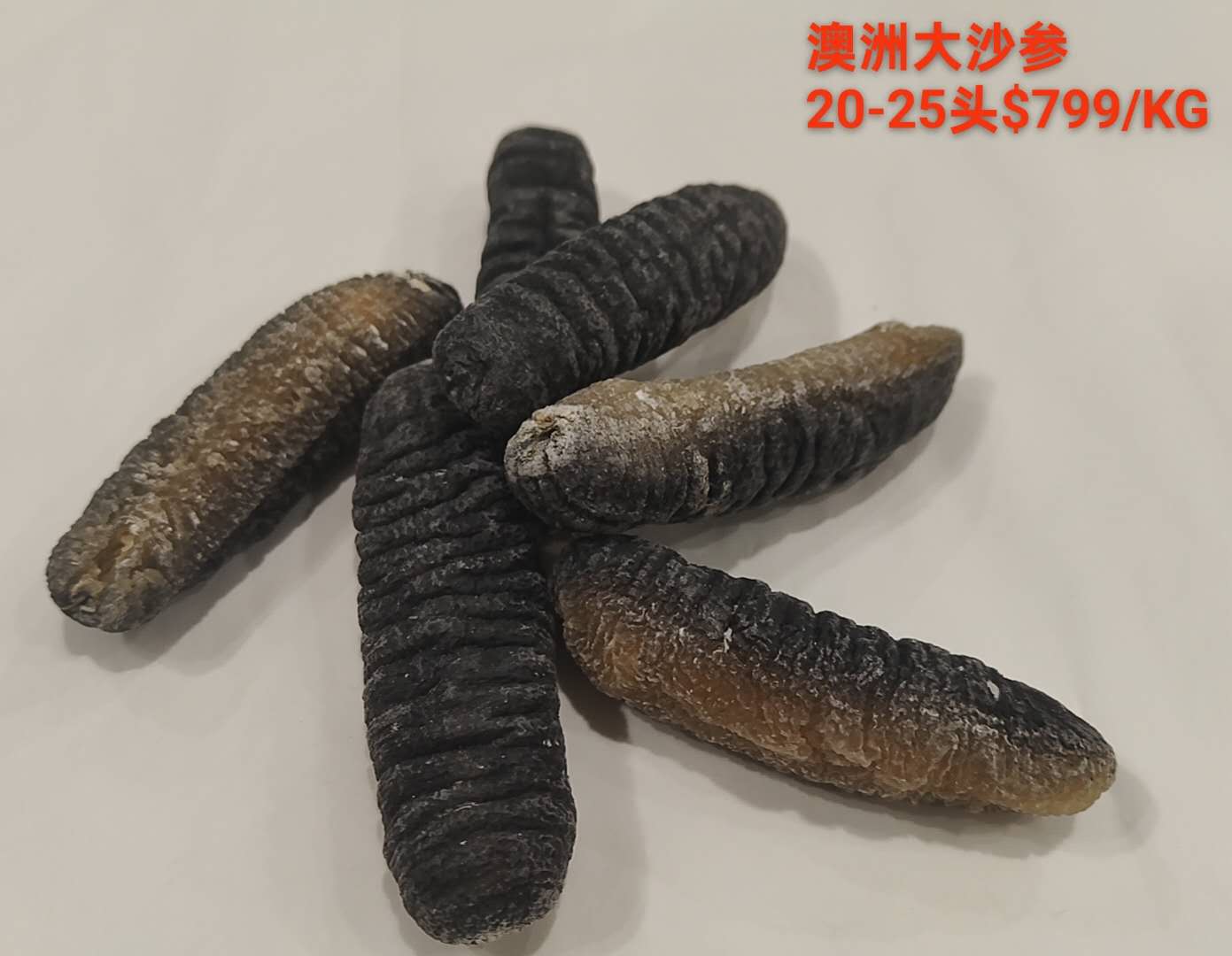 Australian Big Golden Sand Sea Cucumber - 澳洲大沙参 (20-25 Head)