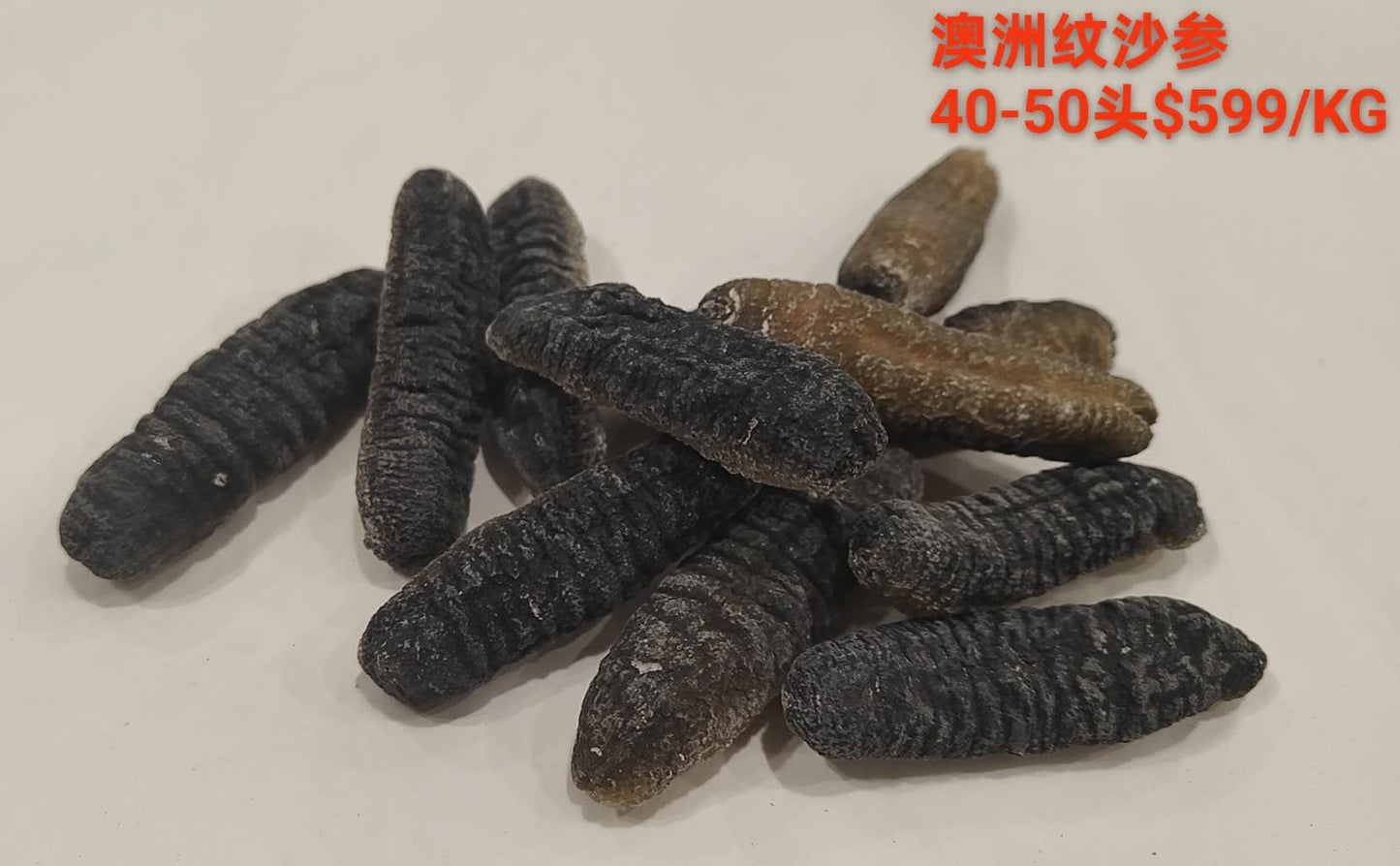 Australian Sandfish Cucumber - 澳洲纹秃参 (40-50 Head)