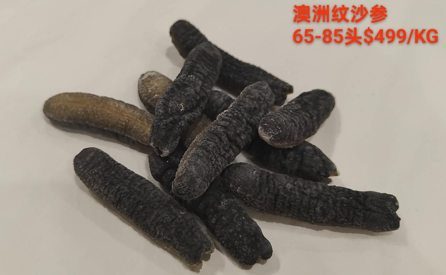 Australian Sandfish Cucumber - 澳洲纹秃参 (65-85 Head)