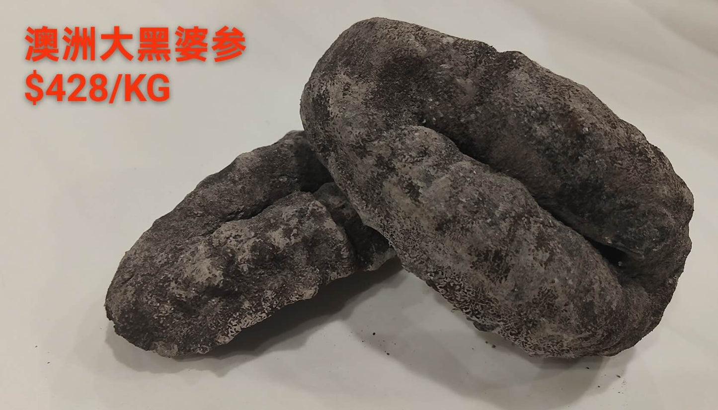Australian Big Black Teat Sea Cucumber - 澳洲大黑婆参