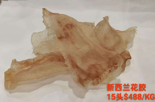 新西兰花胶15头