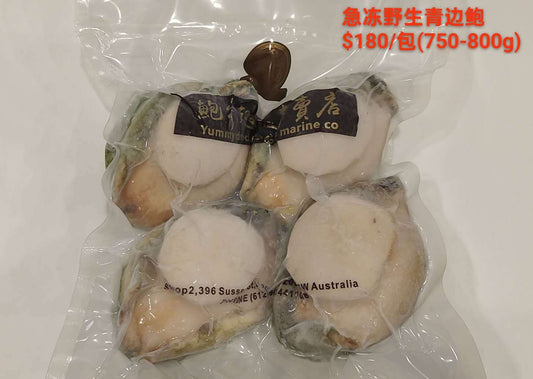 Frozen Wild Greenlip Abalone - 急冻野生青边鲍鱼 ($180/Bag)