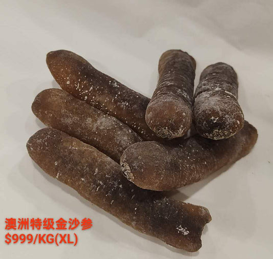 XL Golden Sand Sea Cucumber - 特级澳洲金沙海参