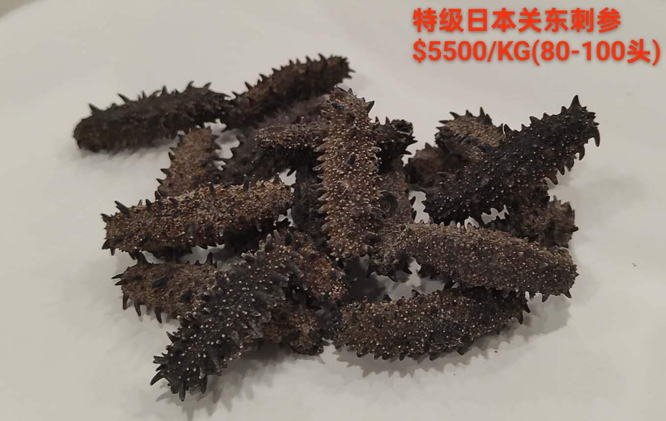 Japan Kanto Region Dried Sea Cucumber 80-100 pieces ($5500/kg)