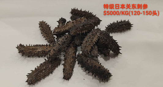 Japan Kanto Region Dried Sea Cucumber 120-150 pieces ($5000/kg)