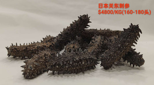 160 - 180 pieces Kanto Region Sea Cucumber ($4800/KG)