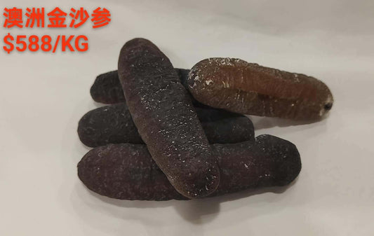 Australian Gold Sand Sea Cucumber - 澳洲金沙海参