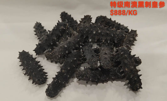 Special Grade South Australian Black Spiky Sea Cucumber - 特级南澳黑刺皇参