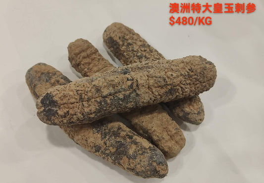 Australian Extra Large Golden Sandfish Sea Cucumber -  澳洲特大皇玉刺参