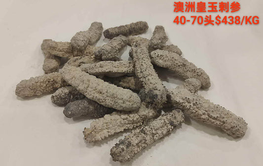 Australian Golden Sandfish Sea Cucumber - 澳洲皇玉刺参 (40-70 Head)