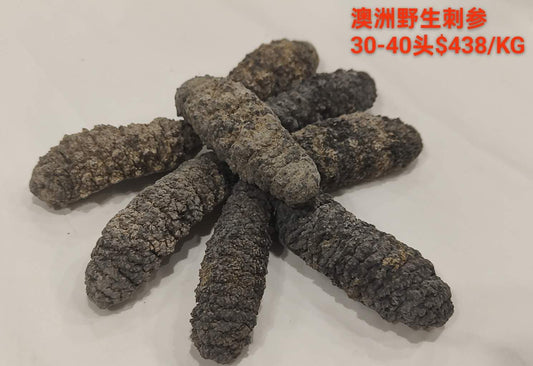 Australian Wild Sea Cucumber - 澳洲野生刺参 (30-40 Head）
