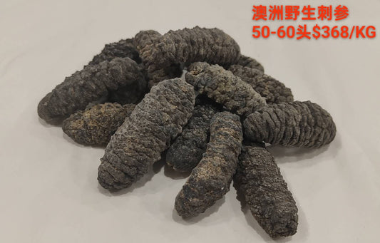 Australian Wild Sea Cucumber - 澳洲野生刺参 (50-60 Head)
