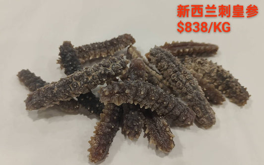 New Zealand Wild Spiky Sea Cucumber - 新西兰刺皇参