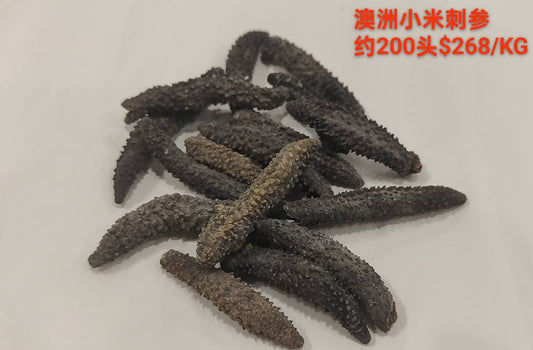 Australian Spiky Sea Cucumber - 澳洲小米刺参 (Approx 200 Head)