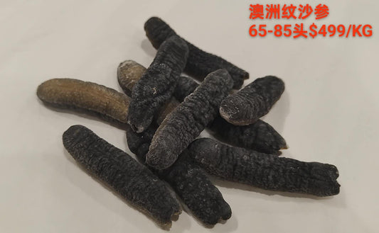Australian Sandfish Cucumber - 澳洲纹秃参 (65-85 Head)