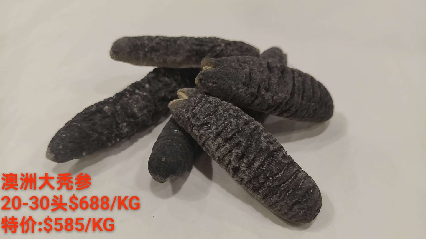 Australian Sea Cucumber - 澳洲大秃参 (20-30 Head)