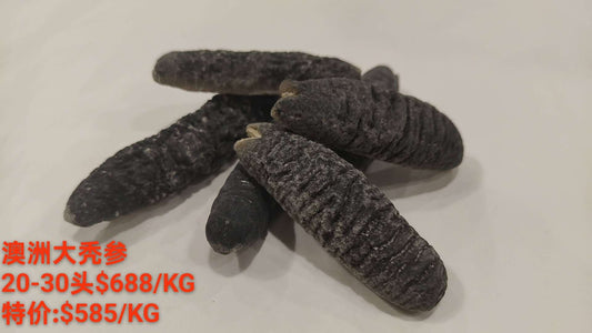 Australian Sea Cucumber - 澳洲大秃参 (20-30 Head)