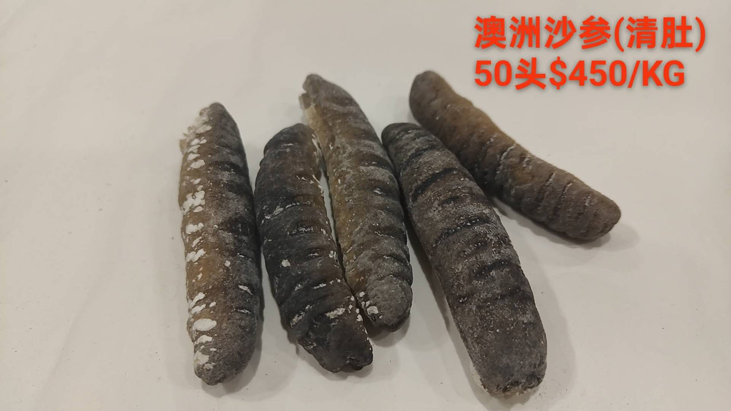 Australian Gold Sand Sea Cucumber - 澳洲沙参(清肚) (50 Head)