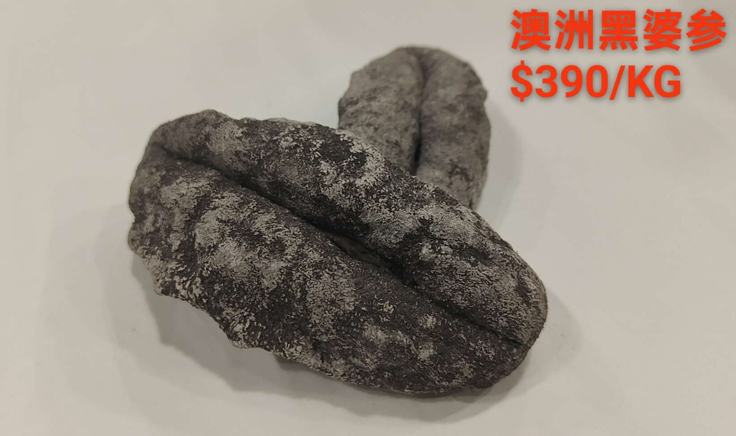 Australian Black Teat Sea Cucumber - 澳洲黑婆参