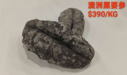 Australian Black Teat Sea Cucumber - 澳洲黑婆参