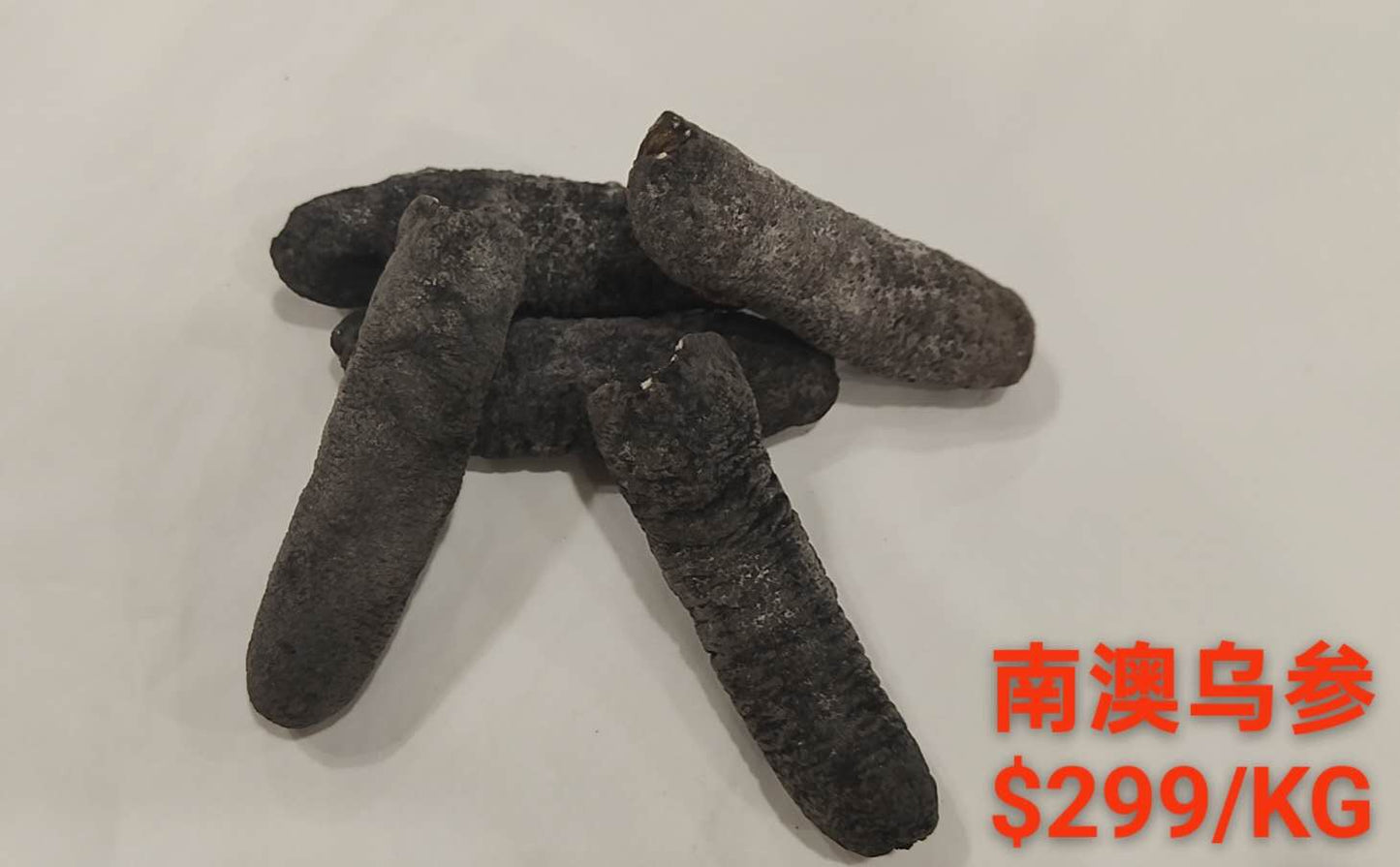 South Australian Black Sea Cucumber - 南澳乌参